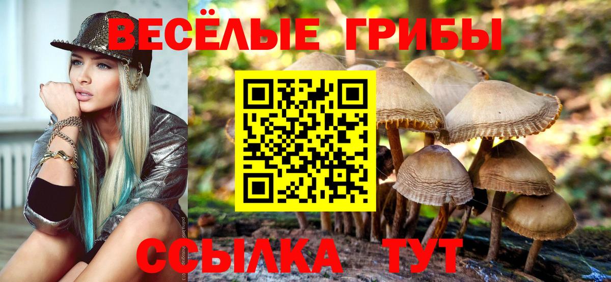 Псилоцибиновые грибы мухоморы  Галлюциногенные грибы Magic Shrooms  Новочеркасск  Вход с VPN 