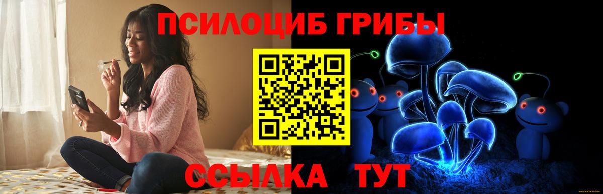 Псилоцибиновые грибы прущие грибы Новочеркасск
